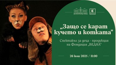 „Защо се карат кучето и котката“ - куклен спектакъл за деца. Продукция на Фондация „ВЕДНА“