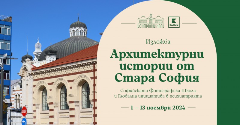 Поредица от изложби и безплатни работилници през ноември на „Сцена Централни хали“